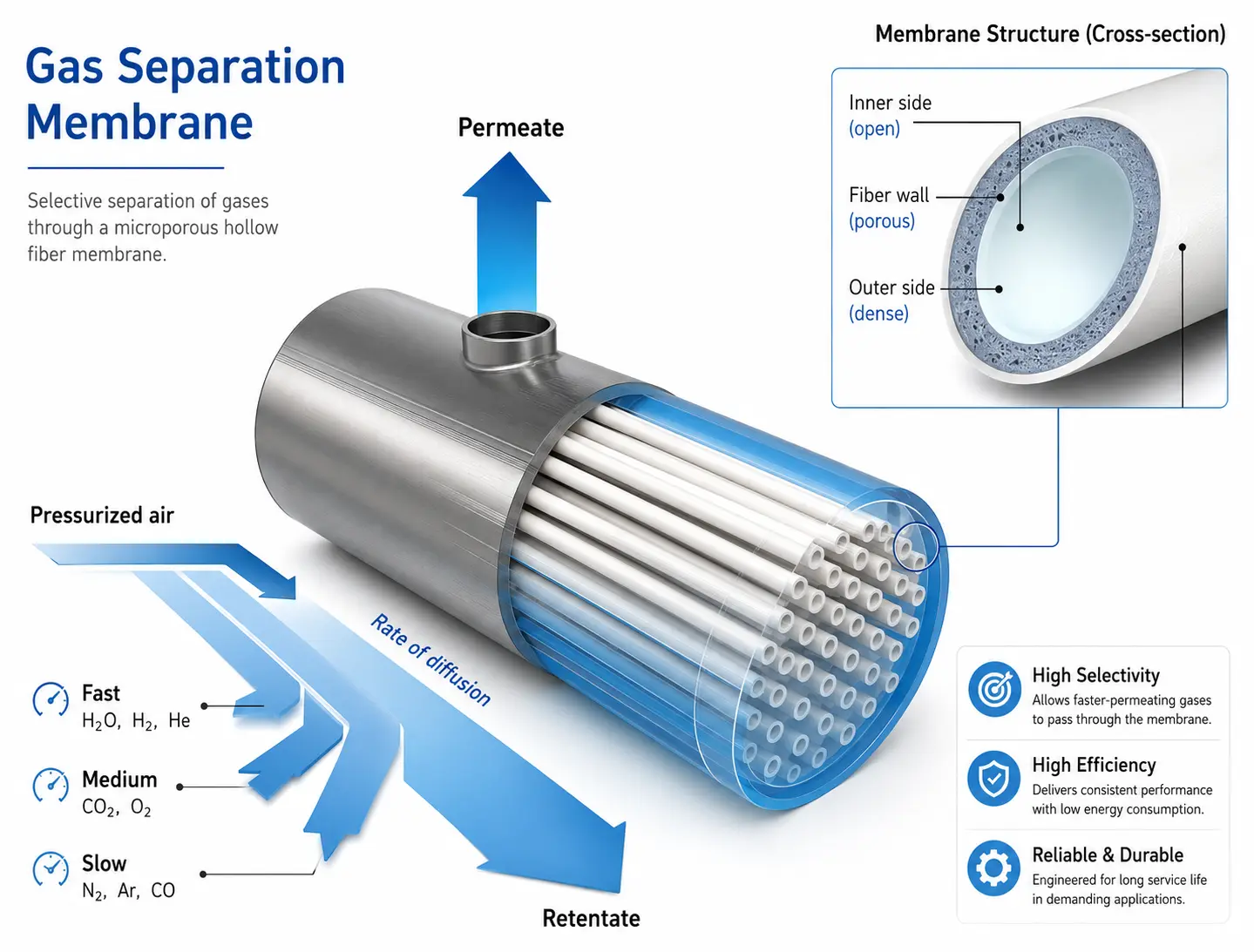 Cutaway diagram of a hollow-fibre gas separation membrane showing pressurized air entering, fast gases like oxygen and water vapour permeating out, and nitrogen continuing as retentate