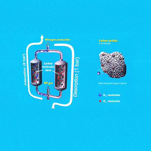 Carbon Molecular Sieves